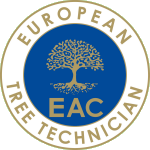 Ein European Tree Worker führt die wesentlichen Arbeiten am und im Baum auf Grundlage seiner professionellen baumpflegerischen Kenntnisse durch.